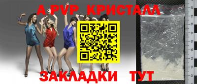 дмт Нальчик