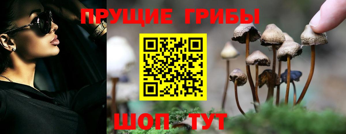 Галлюциногенные грибы Psilocybine cubensis  Вход с VPN  Старая Купавна  Галлюциногенные грибы Magic Shrooms 